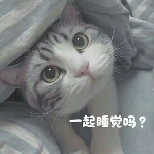 看人妖做爱
